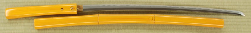 Bamboo Stick Katana